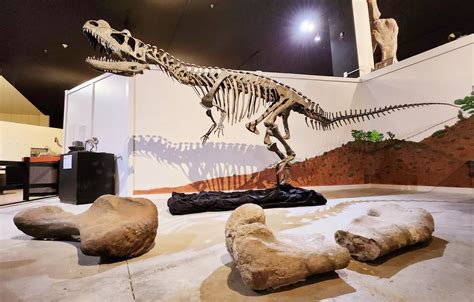 Dazhou Dinosaur Museum: An Epic Journey Through Prehistoric Times and Jaw-Dropping Fossils!