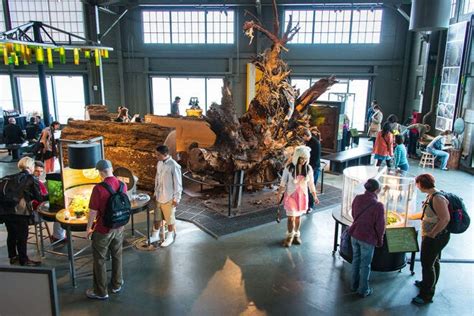 The Exploratorium: A Playground for Curious Minds and Hands-on Learning!