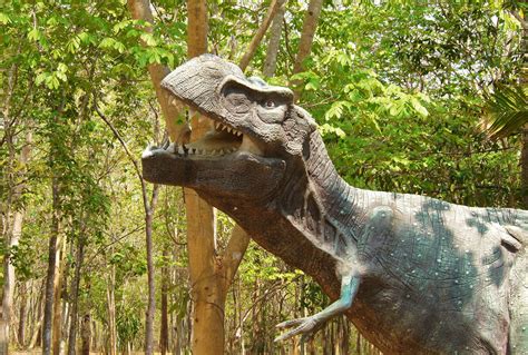 The Mysterious And Enchanting Beauty Of Fangchenggang Dinosaur Museum!