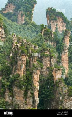 Yuanjiajie Scenic Area: Majestic Sandstone Towers and Mystical Floating Mountains!